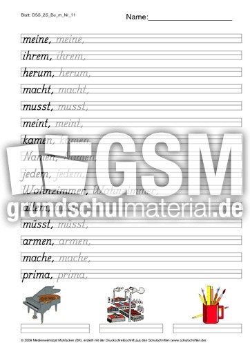 DSS_2S_Bu_m_Nr_11.pdf